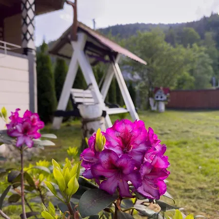 Vakantiehuis карпатський рай Mykulychyn