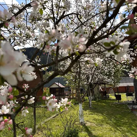 Vakantiehuis карпатський рай