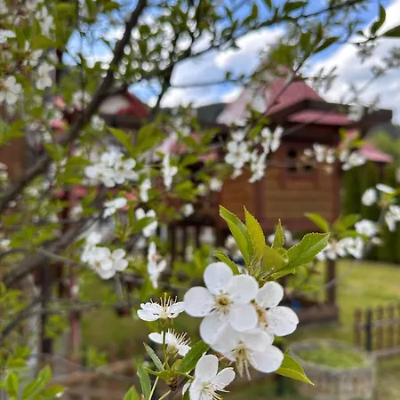 карпатський рай Semesterbostad *