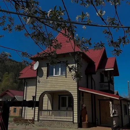 Vakantiehuis карпатський рай Mykulychyn